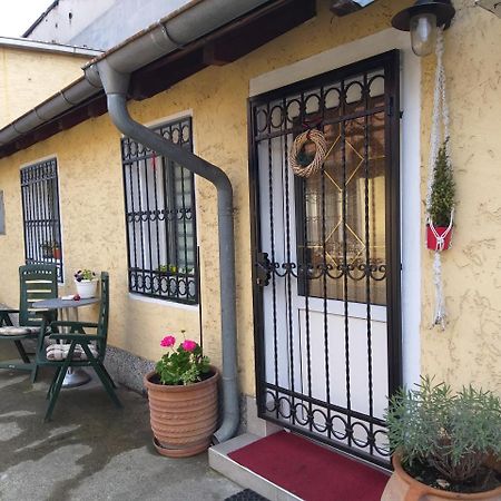 Green Point Apartments Dusanovac Exterior foto